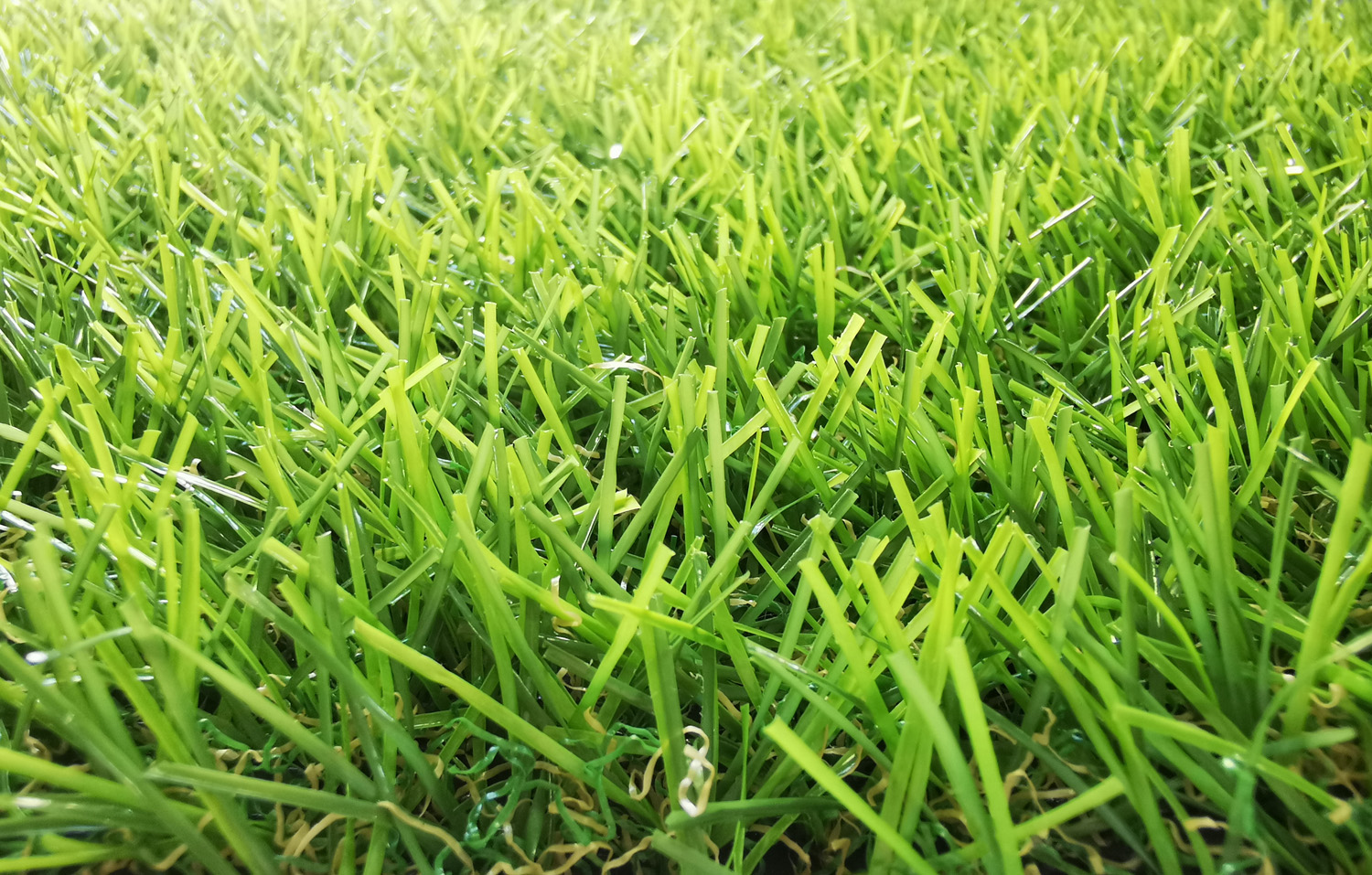 landscaping grass supplier in UAE (2) landscaping grass supplier in UAE (2)