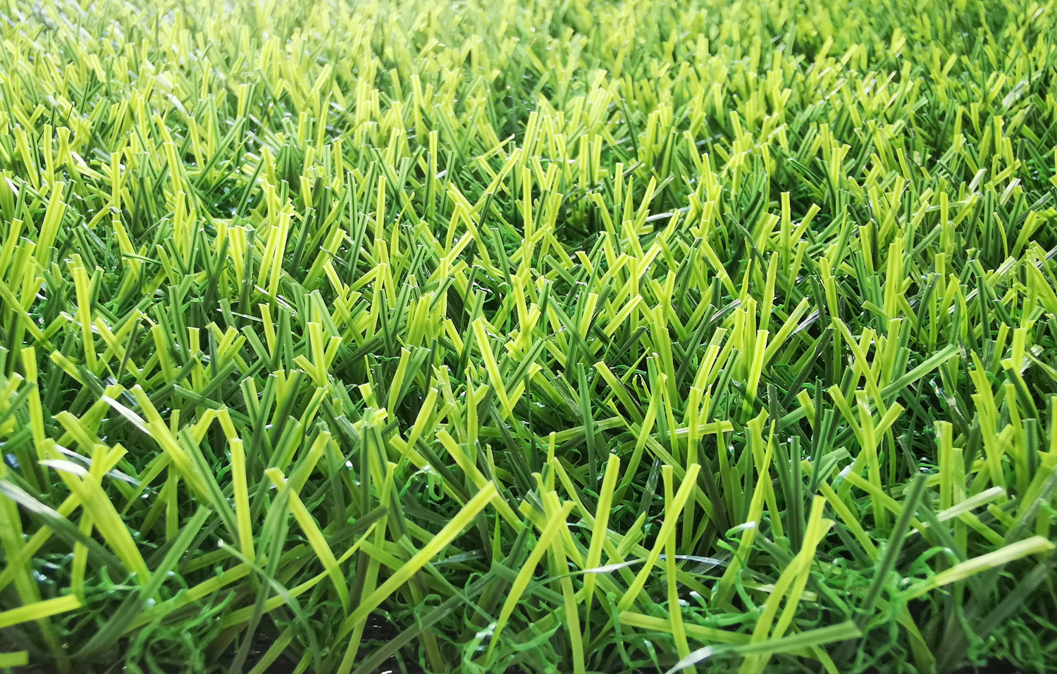 landscaping grass supplier in UAE (2) landscaping grass supplier in UAE (2)