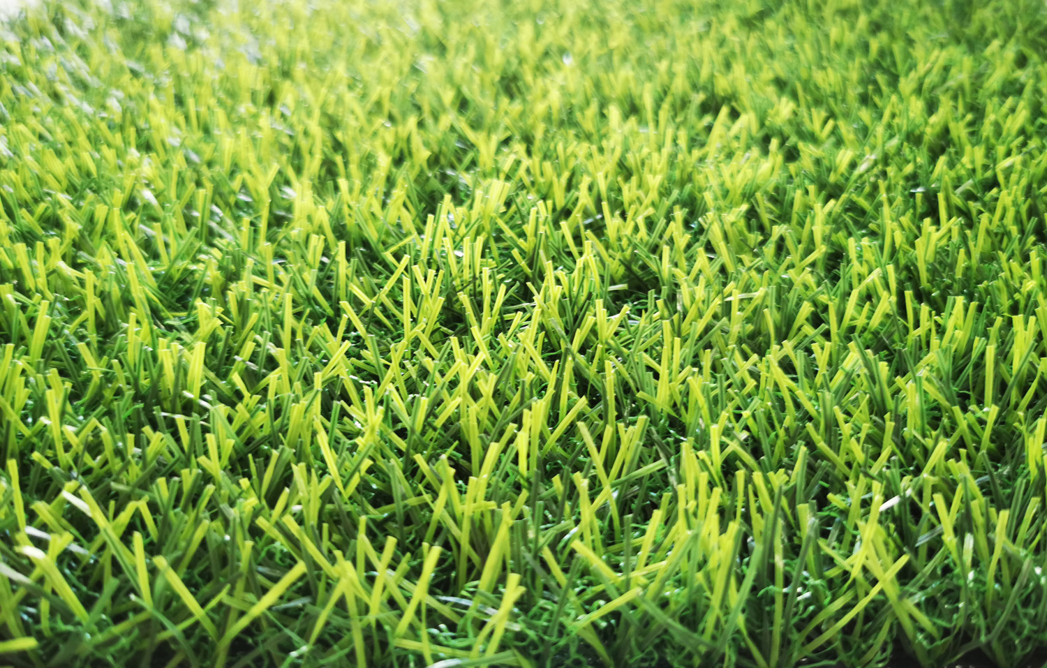 landscaping grass supplier in UAE (3) landscaping grass supplier in UAE (3)